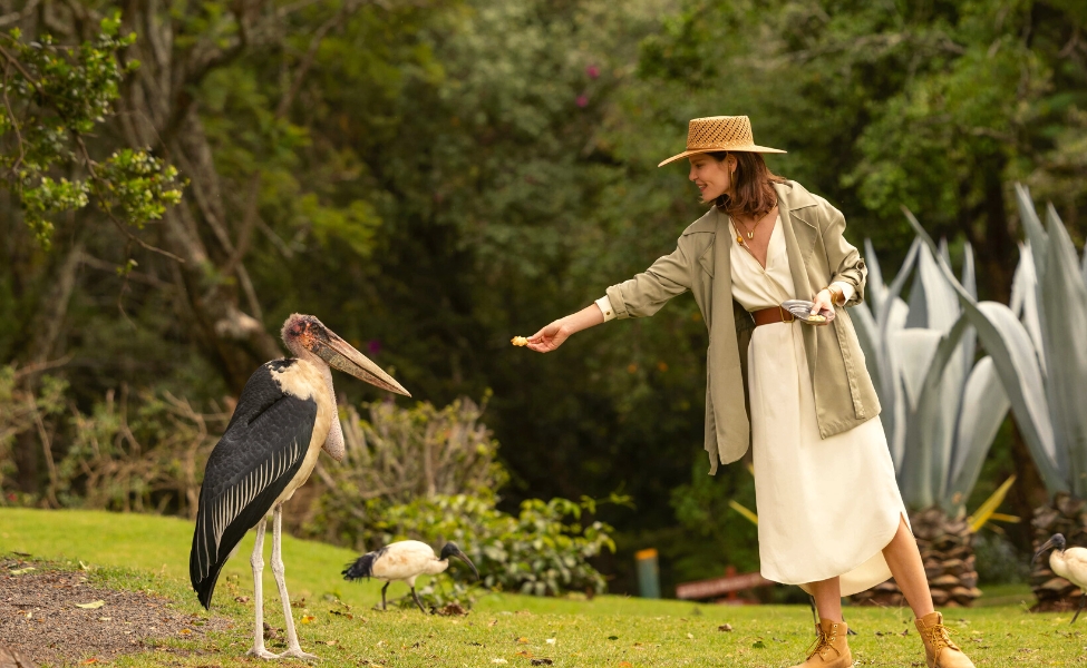 Experience Lake Nakuru with Madfun